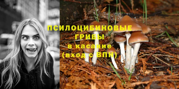 наркотики Гусь-Хрустальный