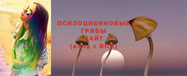 ALPHA-PVP Дмитров