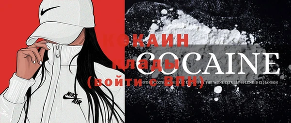 стафф Гусев