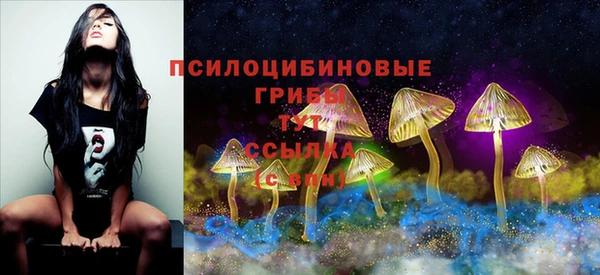 наркотики Дмитриев