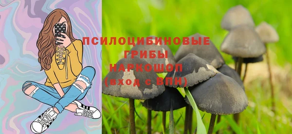 мяу мяу мука Дмитровск