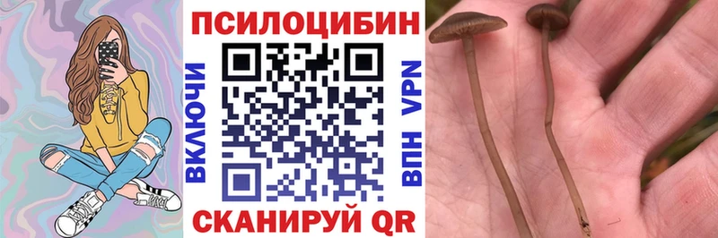 Псилоцибиновые грибы мухоморы  Пестово 